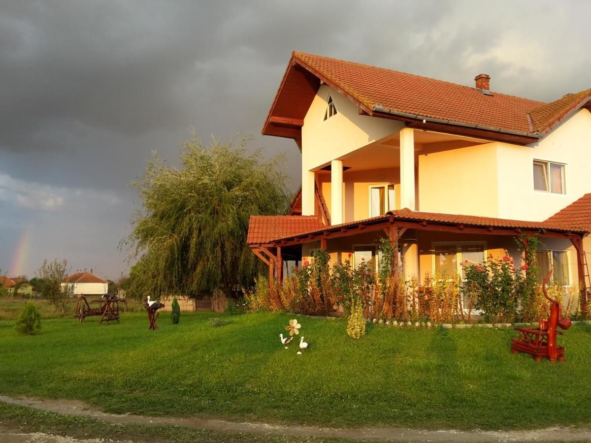 Гостевой дом Vila Ivan Păclişa-38