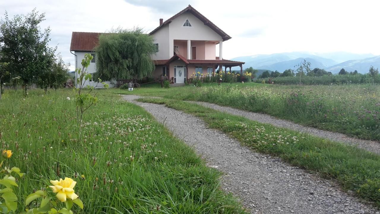 Гостевой дом Vila Ivan Păclişa-39