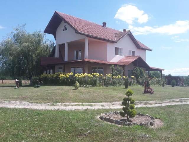 Гостевой дом Vila Ivan Păclişa-25